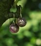 Small Red Moon Dangle Earrings - Image 1
