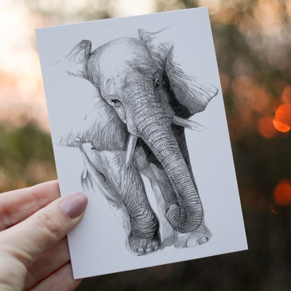 Elephant Birthday Card, Elephant Custom Birthday Card, Personalized Elephant