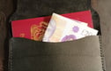 Passport holder / Journal 