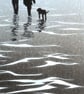 Winter walkies black and white monoprint mounted and ready to frame - Image 3