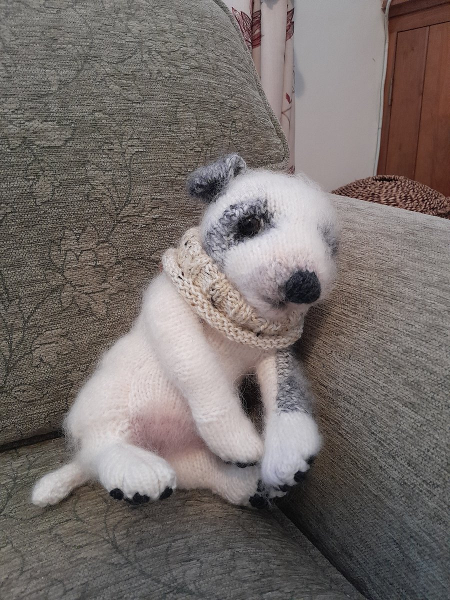 New Born Jack Russell Puppy, dotpebblesknits design