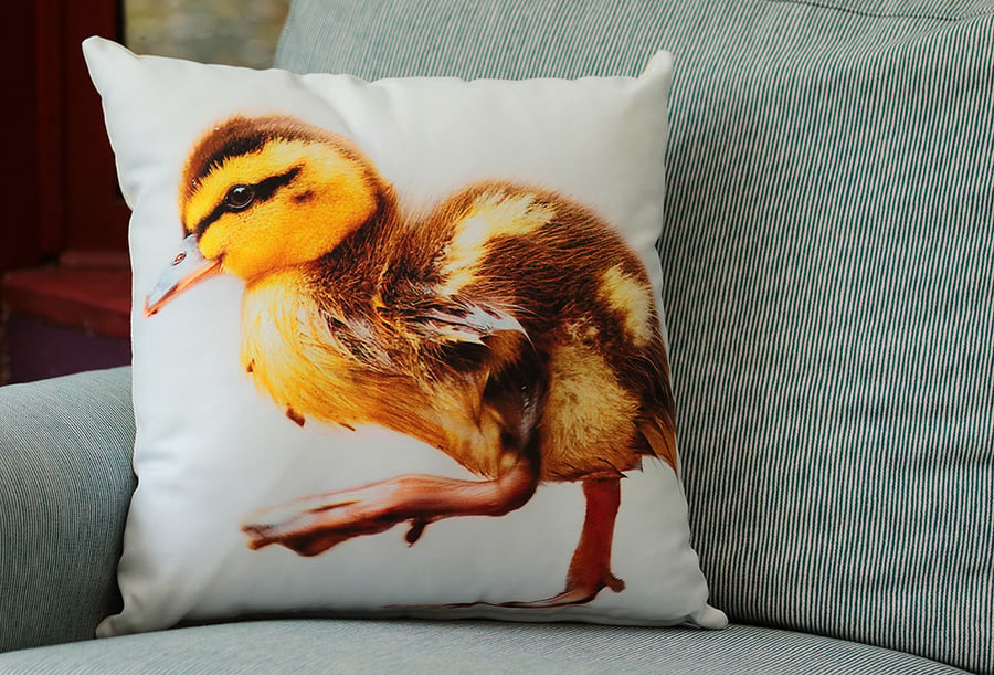 DUCKLING - CUSHION COVERS INSPIRED BY NATURE FROM LISA COCKRELL PHOTOGRAPHY