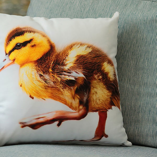 DUCKLING - CUSHION COVERS INSPIRED BY NATURE FROM LISA COCKRELL PHOTOGRAPHY