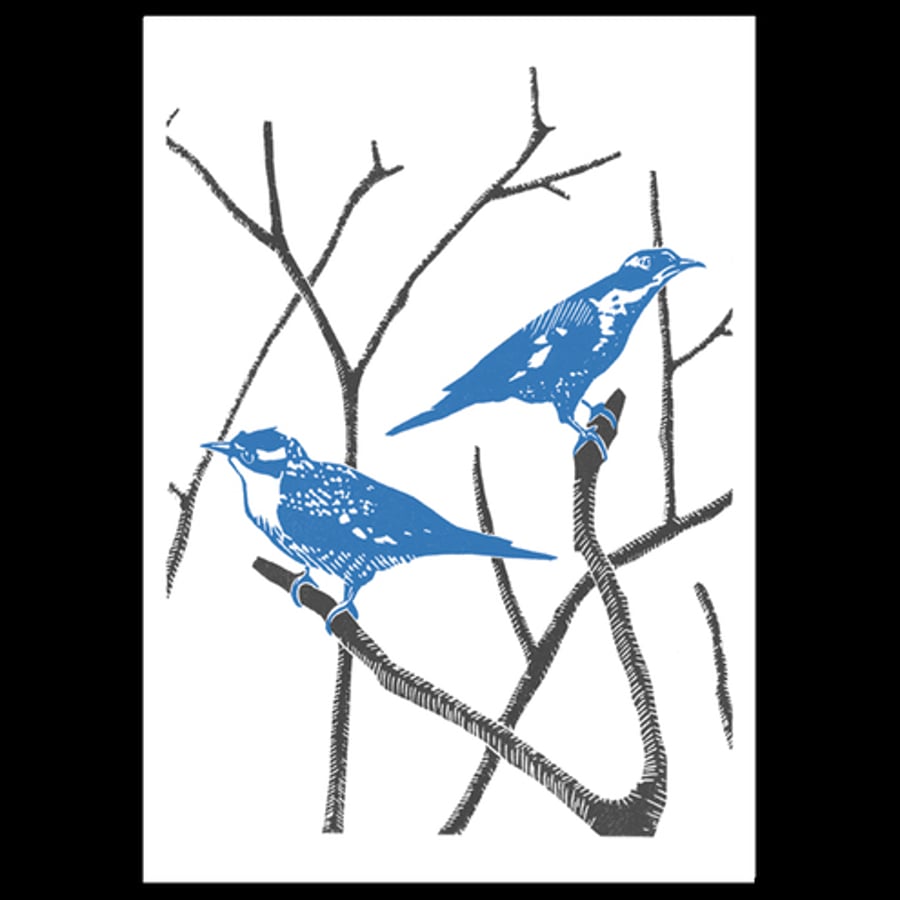 Two Cuckoos poster (2nd edition-blue)