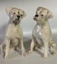 Personalised Boxer Dog salt and pepper shaker set. - Image 9