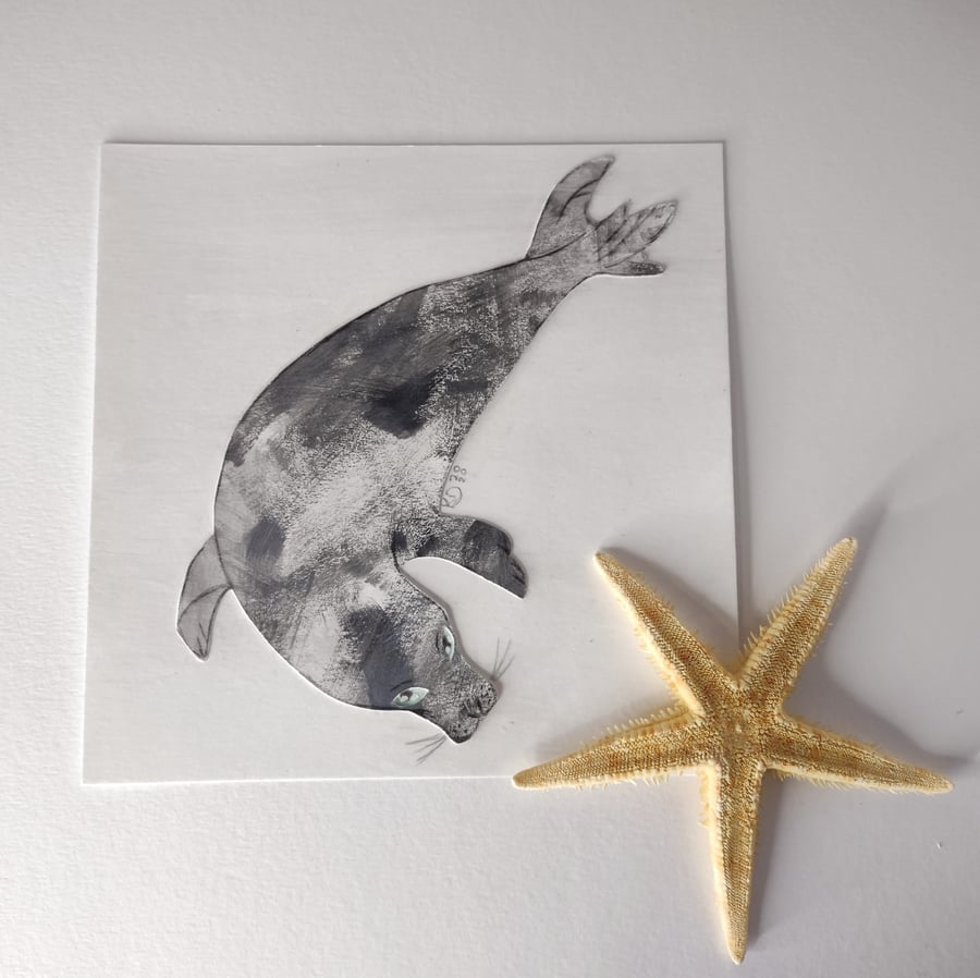 Grey Seal Artwork