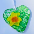 Fused glass heart with daffodil