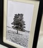 Singular monochrome print Eco friendly One of a Kind gifts Oak Tree - Image 2