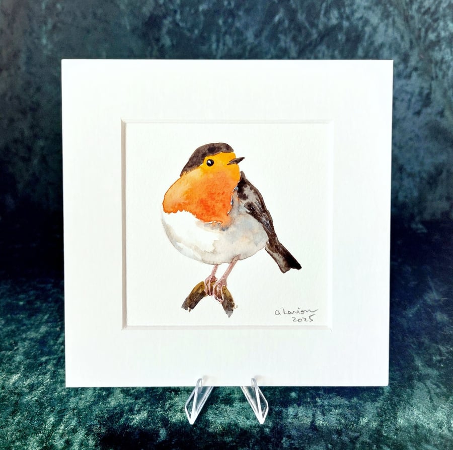 Robin - Original Watercolour Painting
