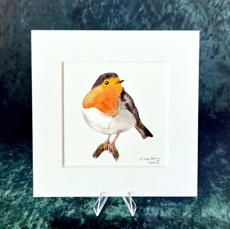 Robin - Original Watercolour Painting