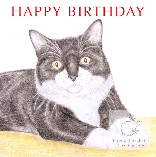 MIittens the Cat -  Birthday Card