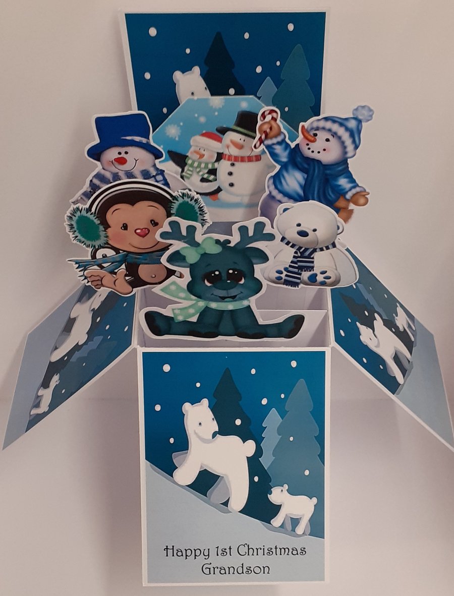 Grandson's 1st Christmas Card 