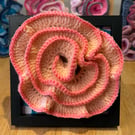 Coral framed rose