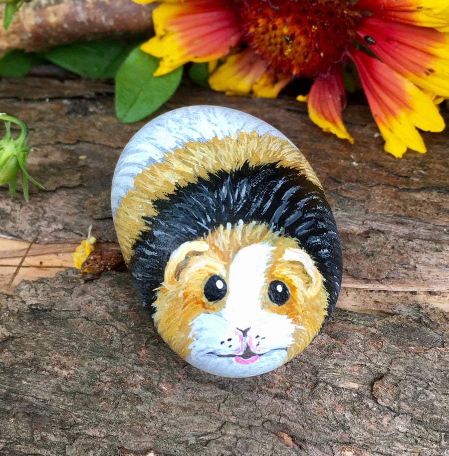 Guinea pig mini painted pebble rock pet 