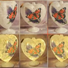 Peacock Butterfly Heart Shaped Lamp