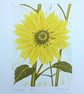 Sunflower - linoprint - Image 2