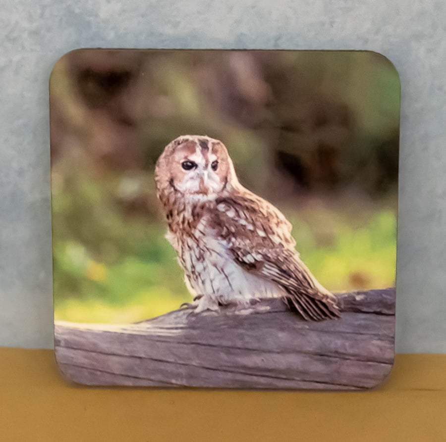 Coaster - Tawny Owl