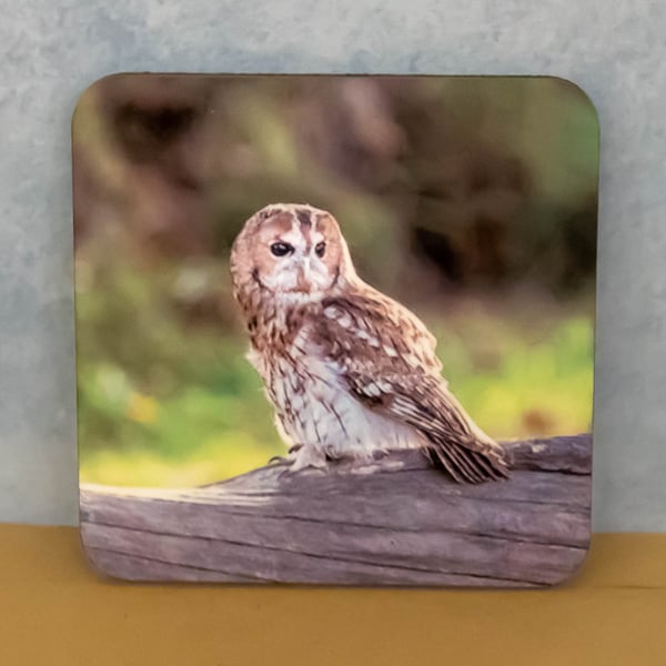 Coaster - Tawny Owl