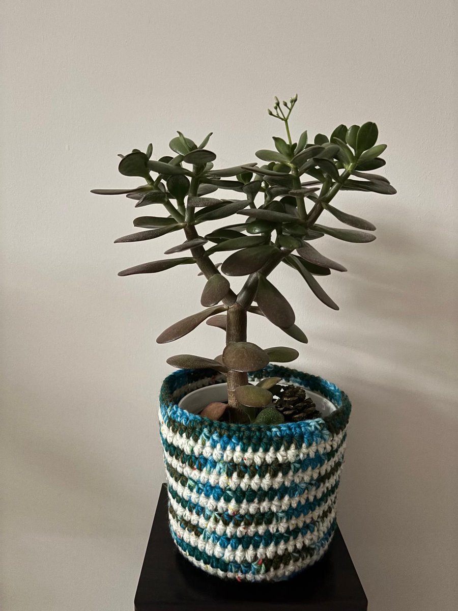 Crochet Blues And Greens Plant Pot Cover (J95)