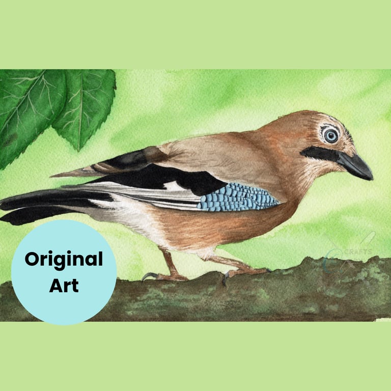 Watercolour Euroasian Jay Original A4 Painting