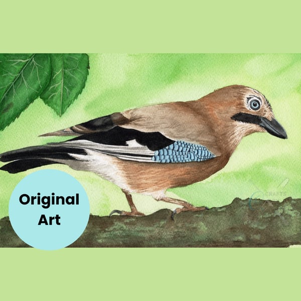 Watercolour Euroasian Jay Original A4 Painting