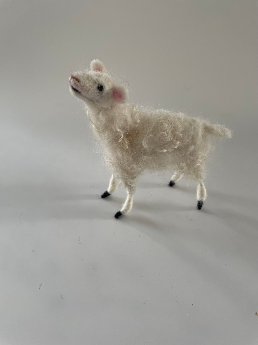 Spring Lamb - Folksy