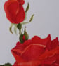 HAND PAINTED WATER COLOUR CARD WITH ROSES - Image 2