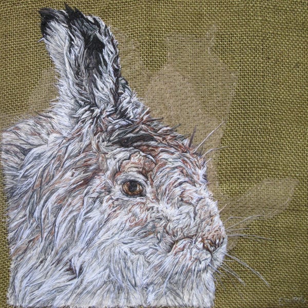 Mountain Hare Artwork
