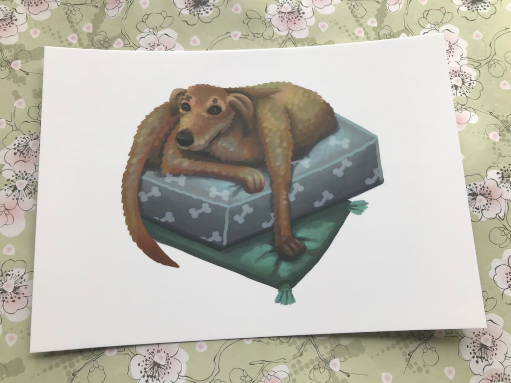 Sitting Lurcher post card