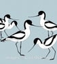 Avocets. Signed print. Digital illustration. Birds. Wildlife. Coast - Image 1