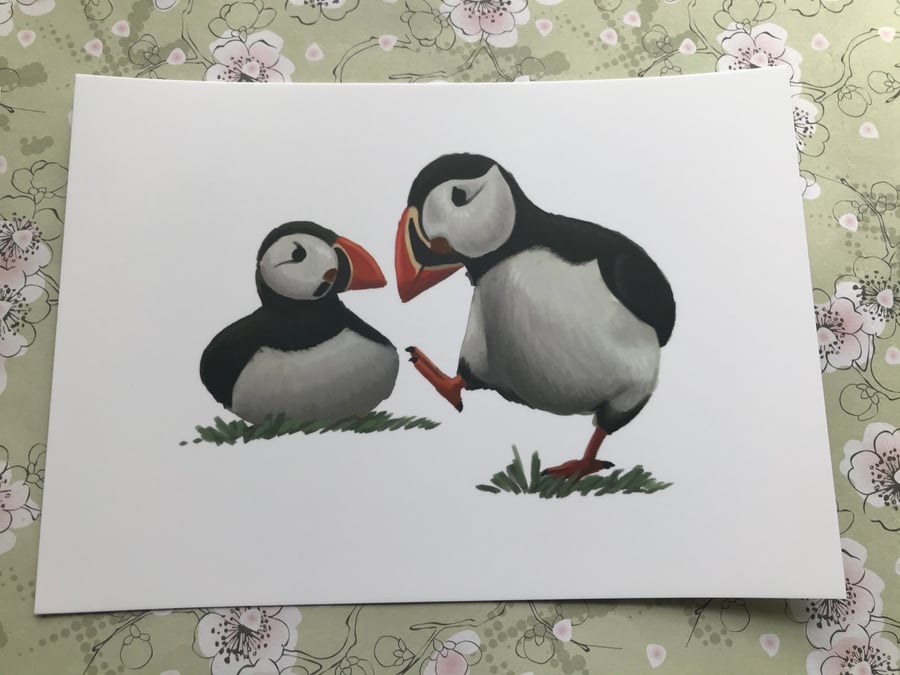 Puffins post card