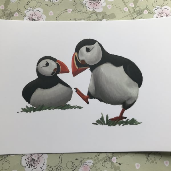 Puffins post card