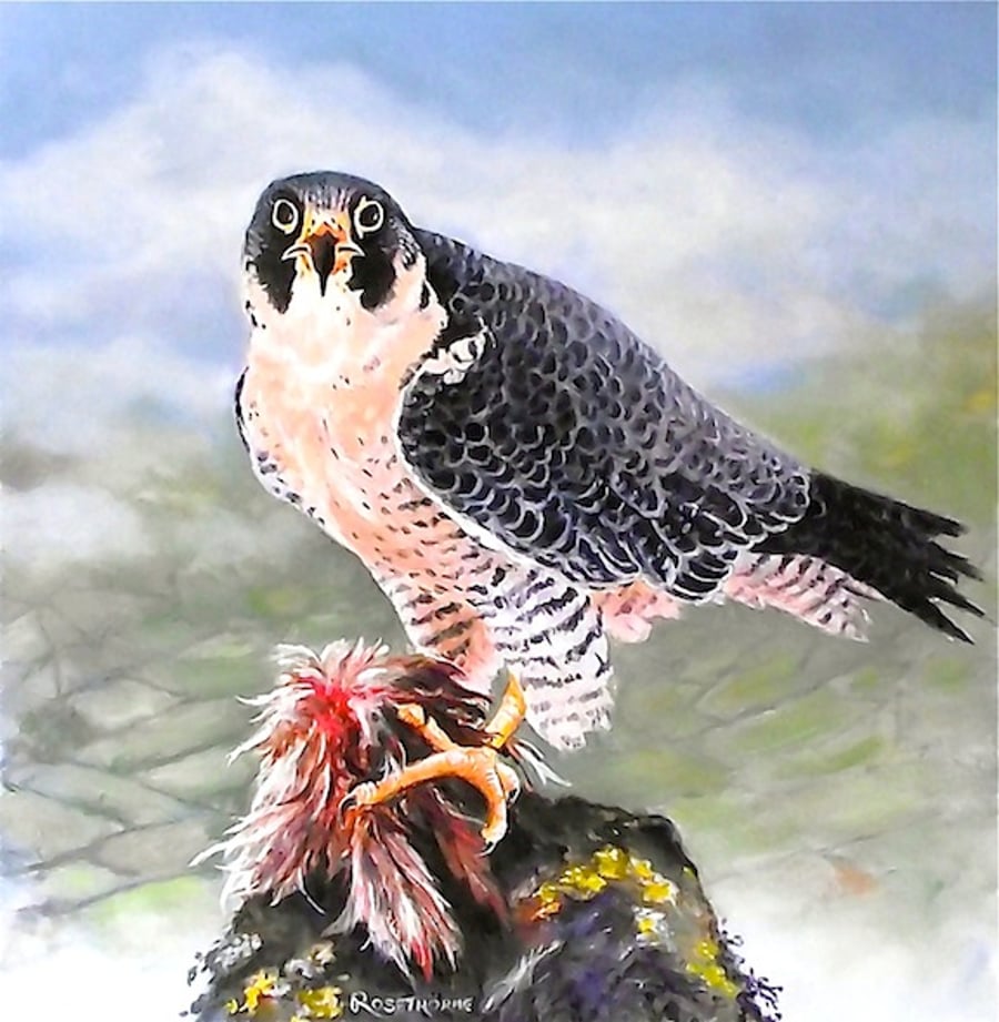PEREGRINE FALCON, "ABOVE THE CLOUDS."  ORIGINAL FRAMED OIL PAINTING.