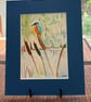 Kingfisher On Reeds Original Watercolor 