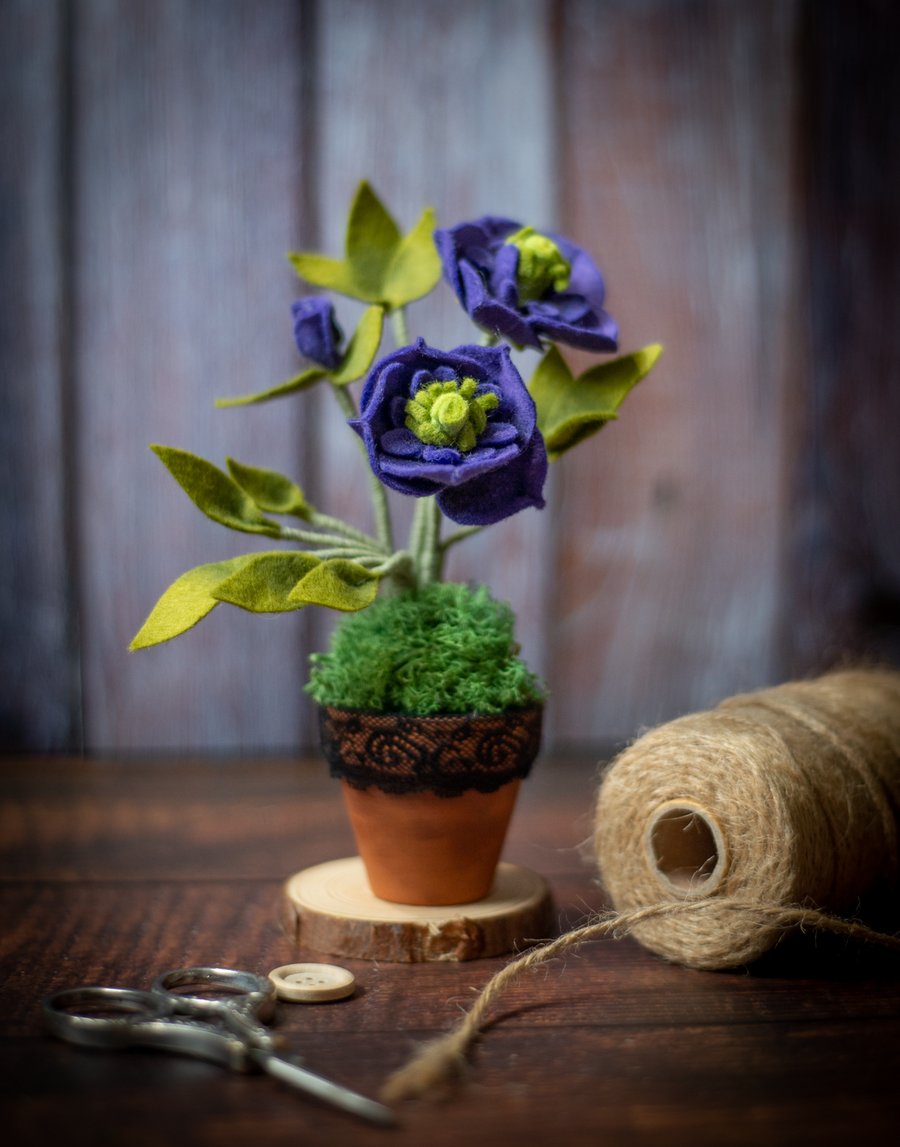 Felt Hellebore in a Terracotta Pot (purple)