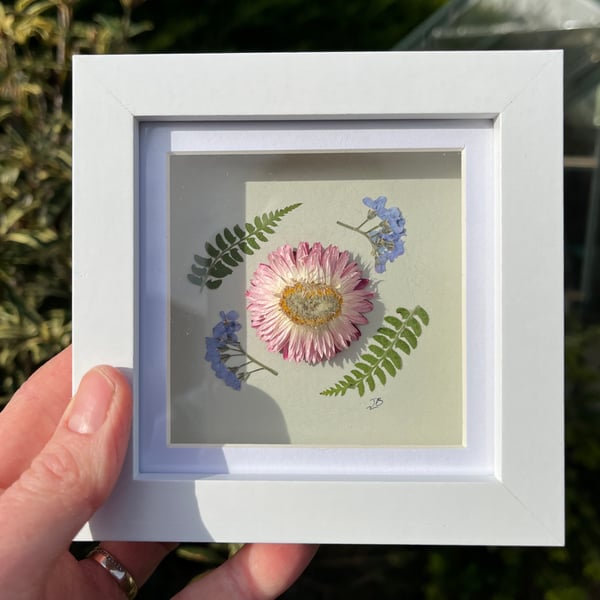 Real Pressed and Dried Flower, Framed Art, Mother’s Day, birthday gift