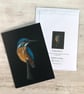 'Kingfisher Perching', A5, Bird Art greetings card. - Image 4