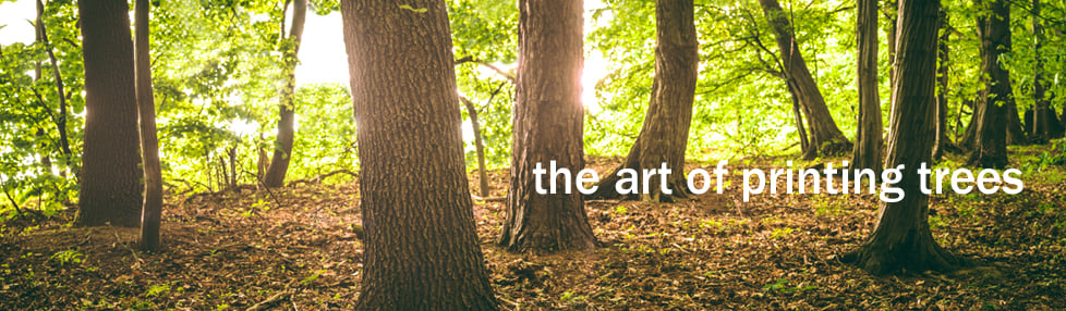 Visibull Art & Design