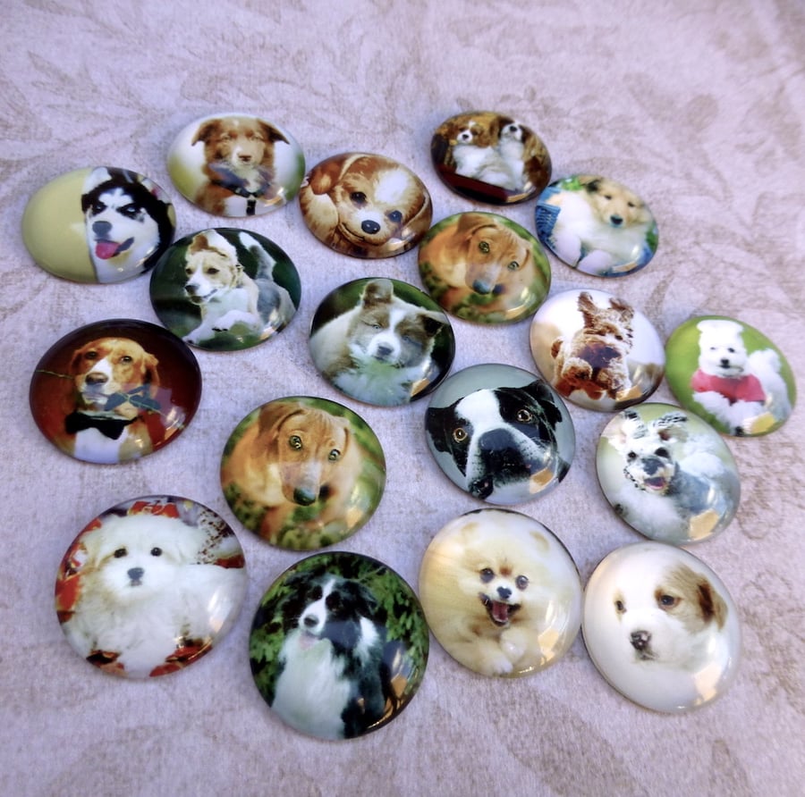 pack of 10 - Dogs and Puppies 20mm Cabochon Mix