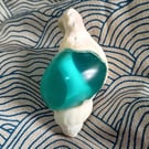 Siren Glass - Resin Filled Shell Sculpture - Echoes from the Deep