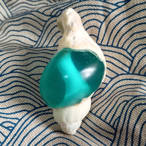 Siren Glass - Resin Filled Shell Sculpture - Echoes from the Deep