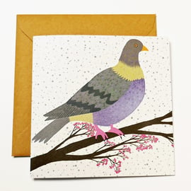 Card Pigeon Bird Blank Greetings Birthday