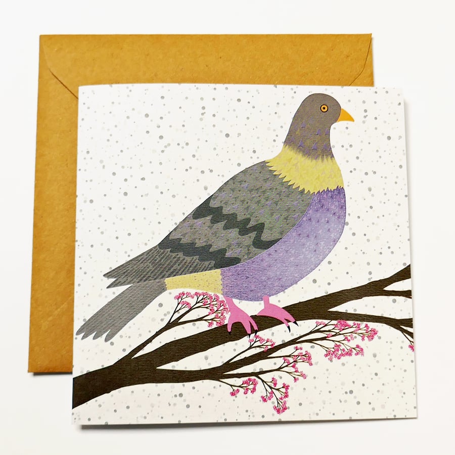 Card Pigeon Bird Blank Greetings Birthday