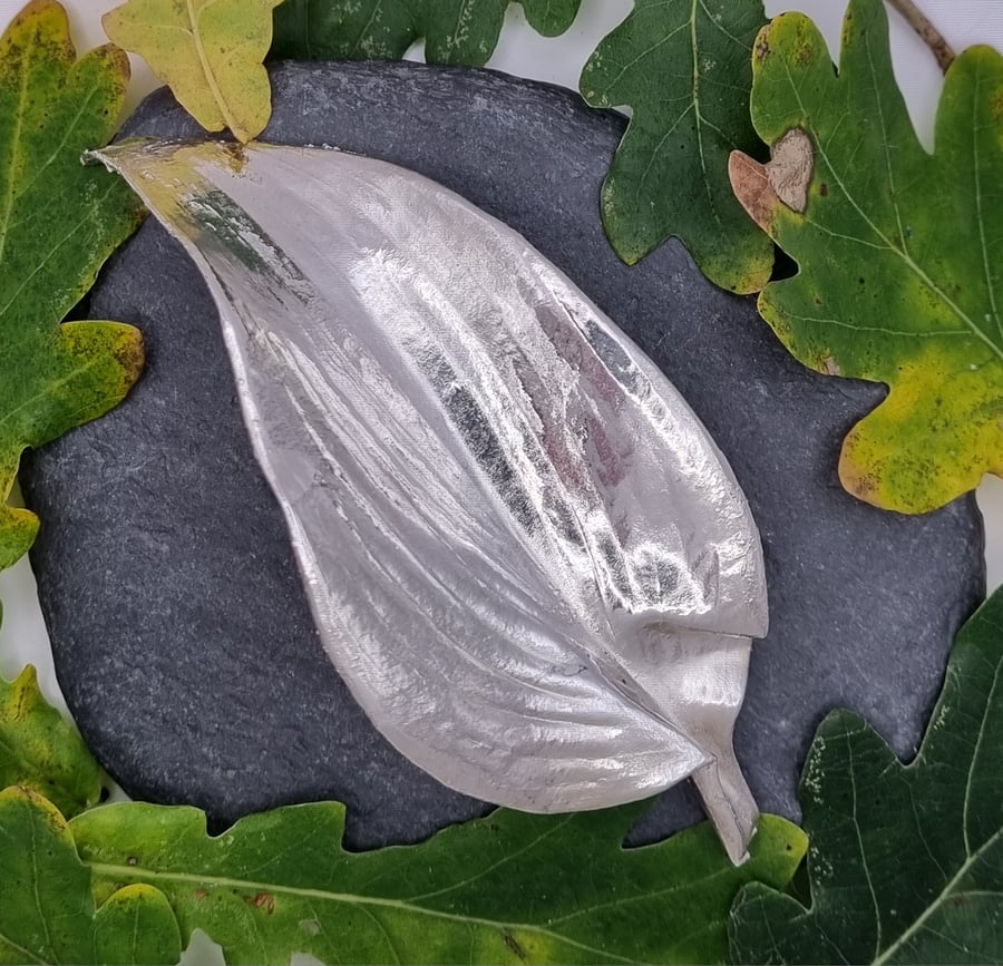 Real Hosta leaf preserved in silver brooch