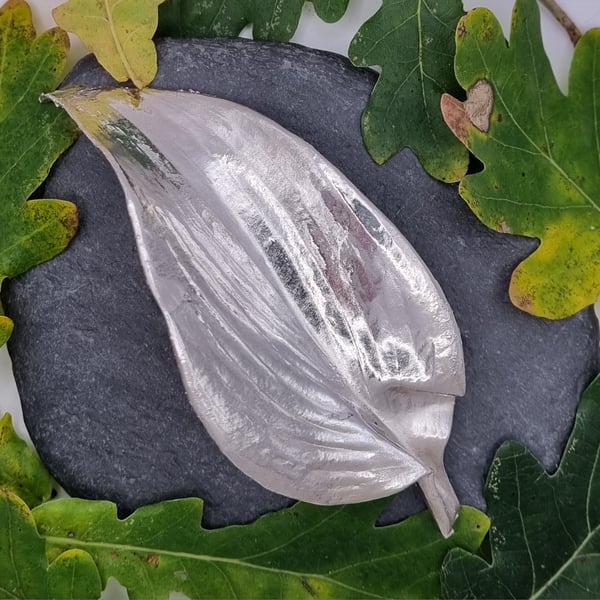 Real Hosta leaf preserved in silver brooch