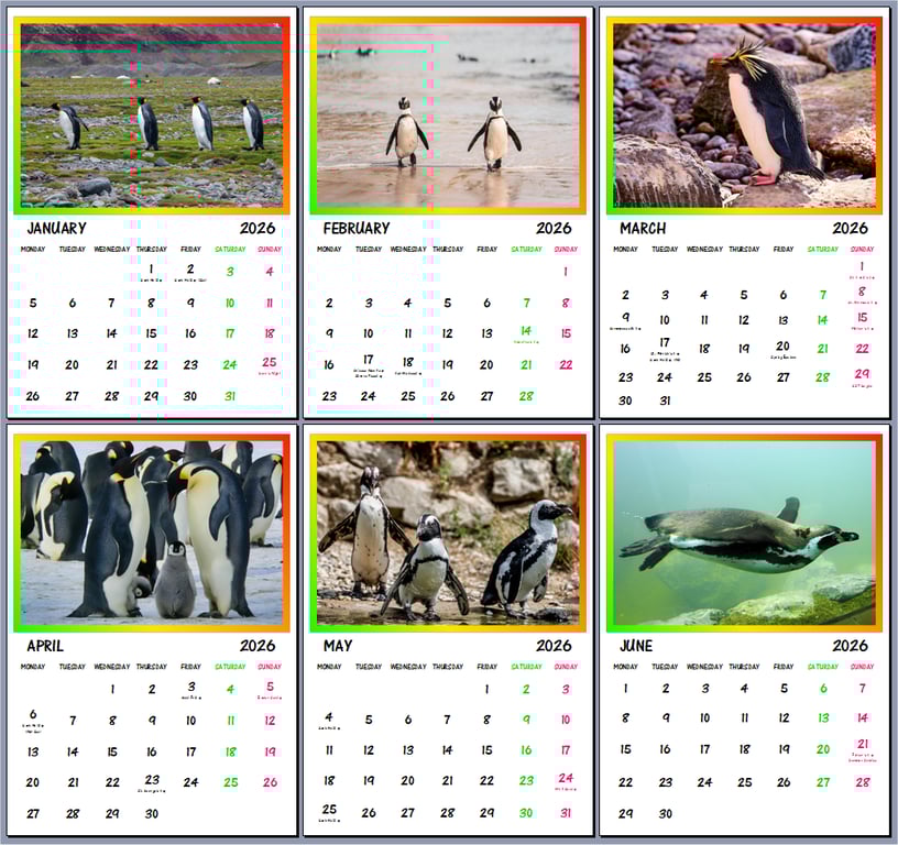 2026 A4 Calendar Penguin Birds Themed  