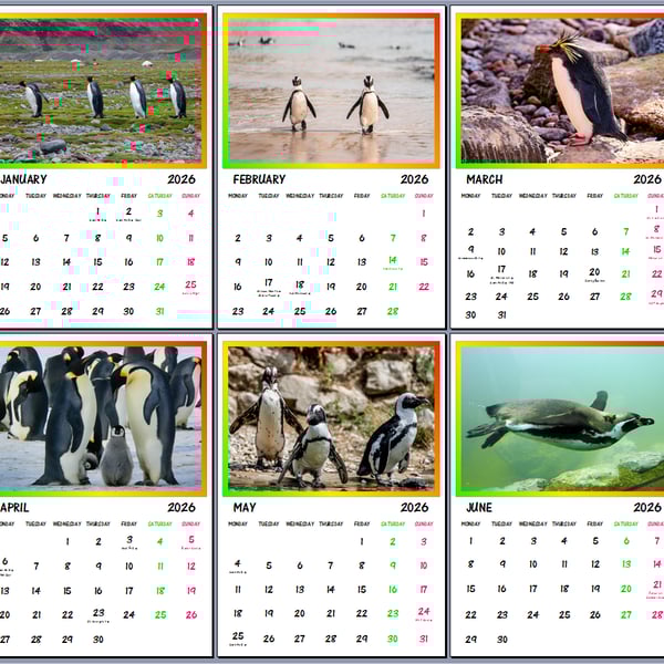 2026 A4 Calendar Penguin Birds Themed  