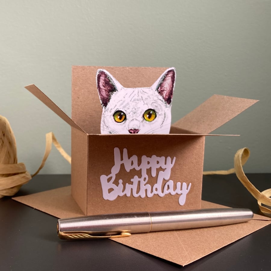 White Cat Card; Birthday, Personalised or Blank. Cat in a box gift card holder.