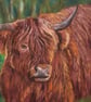 Shaggy Highland Cow giclee print from a painting by artist Janet Bird - Image 1