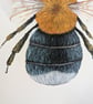 Tree Bumblebee Painting  - Image 3
